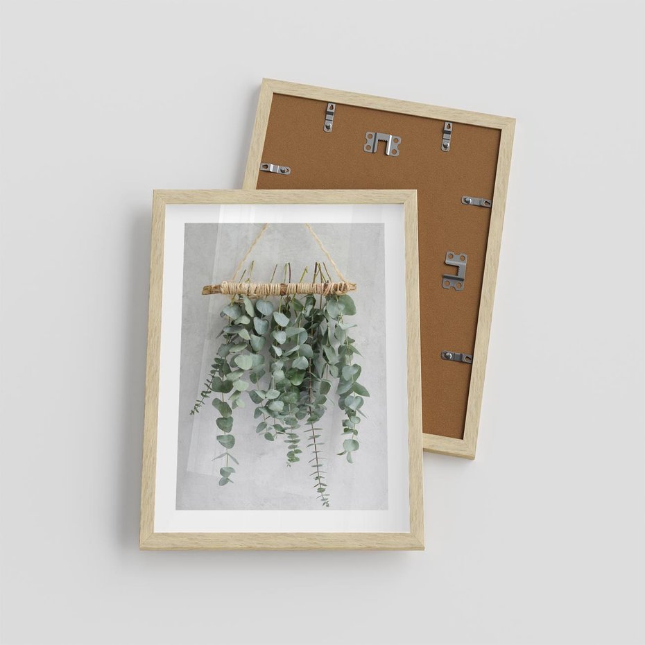 Plakat w ramie 30x40 - Uwodzicielska zieleń eukaliptusa - eukaliptus, zielone - rama drewno