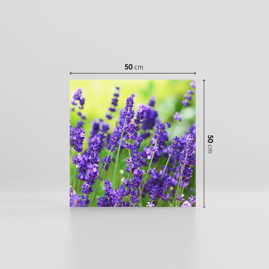 Obraz na płótnie 50x50 - Elegancka lawenda w pełnym rozkwicie - lawenda, kwiaty