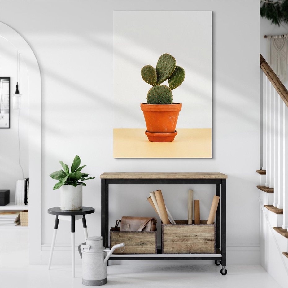 Obraz na płótnie 50x70 - Kwiatowy taniec kaktusa - kaktus, kwiat