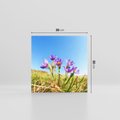 Obraz na płótnie 30x30 - Kwiatowa siła łąki - kwiaty, łąka