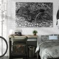 Obraz na płótnie 120x80 - Zapomniany Urok - czarno biała fotografia, stary rower oparty o mur