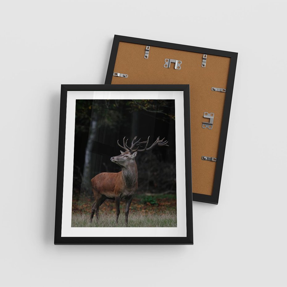 Plakat w ramie 40x50 - Spotkanie z naturą - jeleń, las - rama czarna