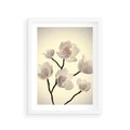 Plakat w ramie 30x40 - Elegancja Natury - magnolia, białe - rama biała