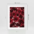 Plakat w ramie 30x40 - Energia Kwiatów - czerwone kwiaty, kompozycja - rama biała