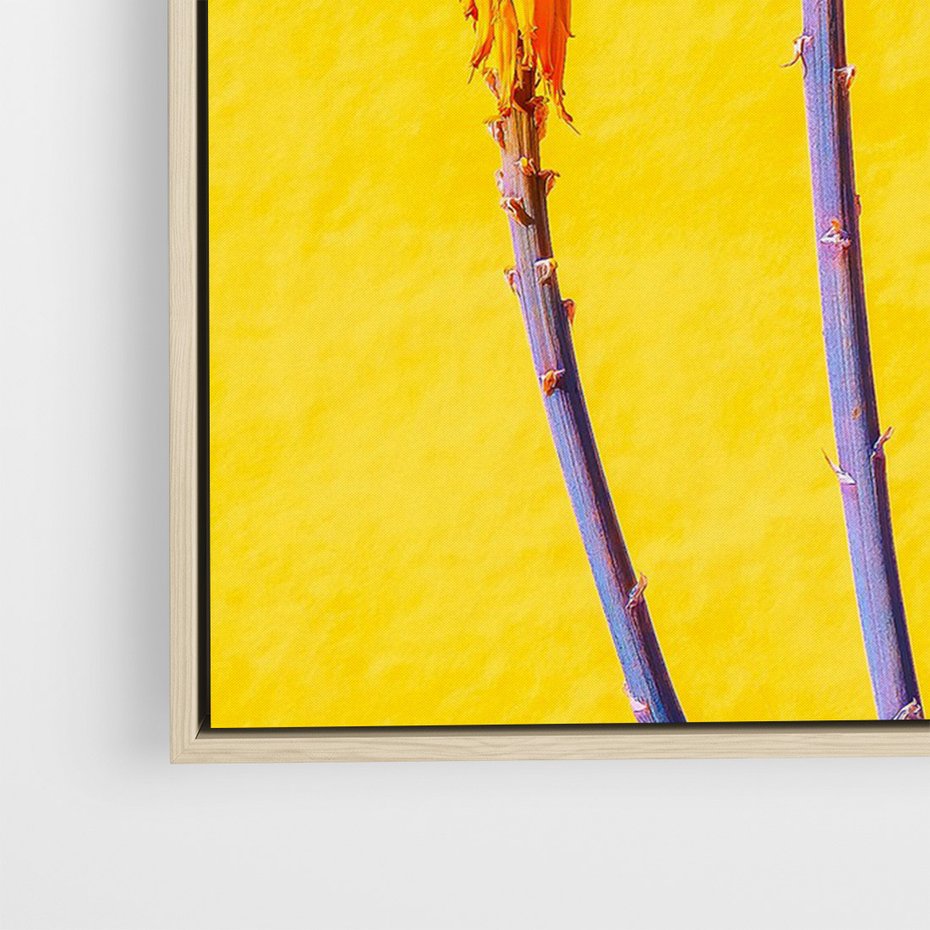 Obraz w ramie 50x70 - Radość Natury - kolor, kwiaty - rama drewno