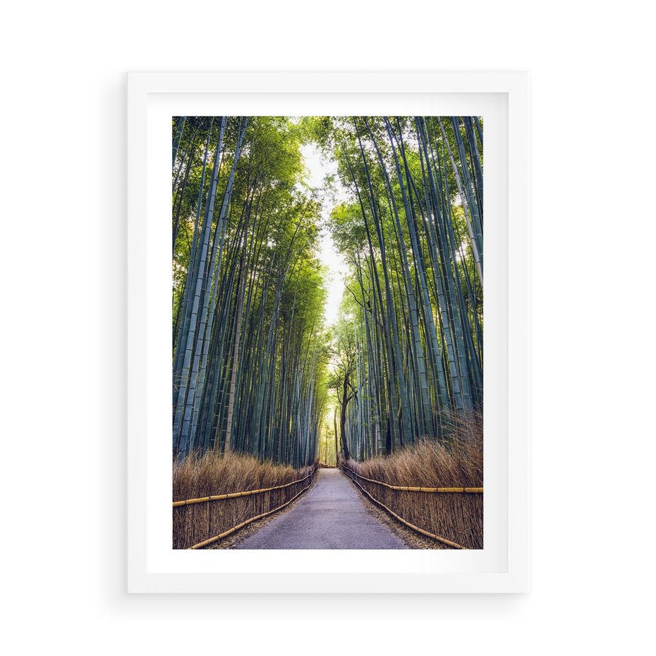 Plakat w ramie 50x70 - Urokliwa dróżka w lesie - las, dróżka - rama biała