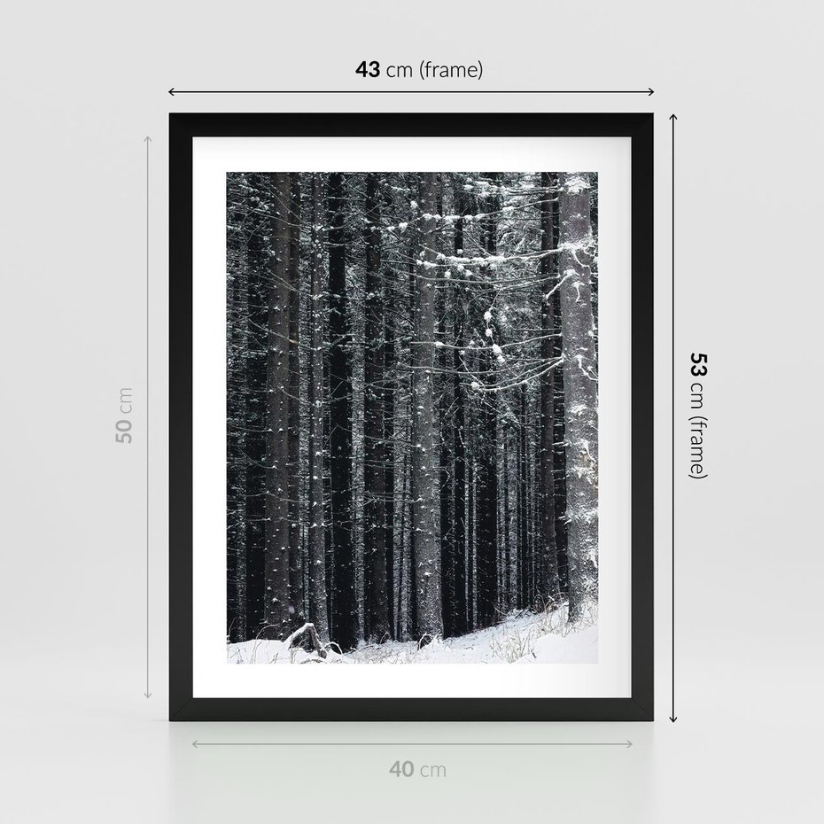 Plakat w ramie 40x50 - Leśna Cisza: Malowniczy Pejzaż Zimą - las zimą, ośnieżone pnie drzew - rama czarna