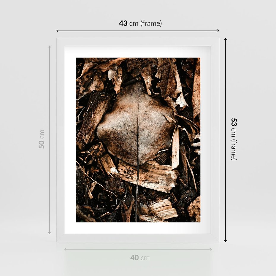 Plakat w ramie 40x50 - Samotny Liść - liść, brąz - rama biała