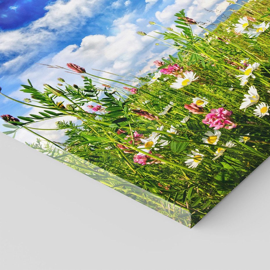 Obraz na płótnie 50x50 - Niebiańska łąka pełna kwiatów - łąka, niebo
