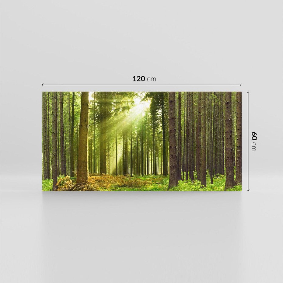 Obraz na płótnie 120x60 - Spokój wśród drzew: las w odcieniach zieleni - las, drzewa