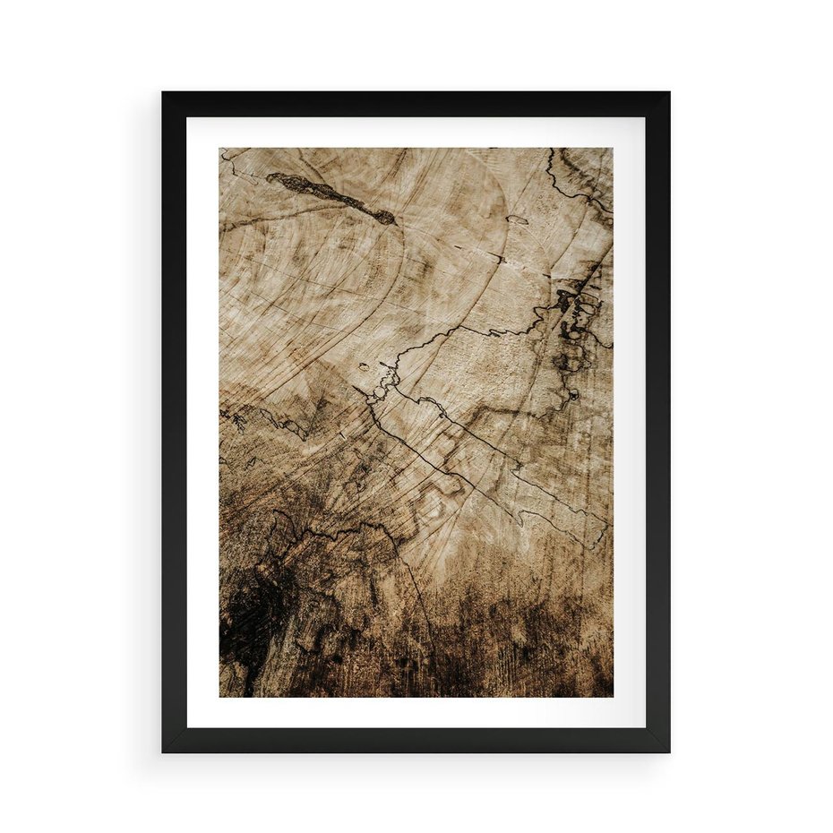 Plakat w ramie 50x70 - Słoje Natury - słoje drzewa, pieńdrzewa - rama czarna