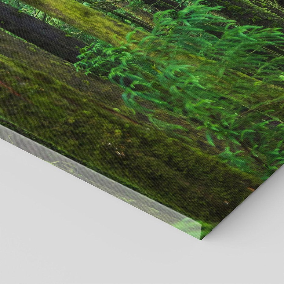 Obraz na płótnie 140x70 - Mistyka leśnej głuszy - las, drzewa