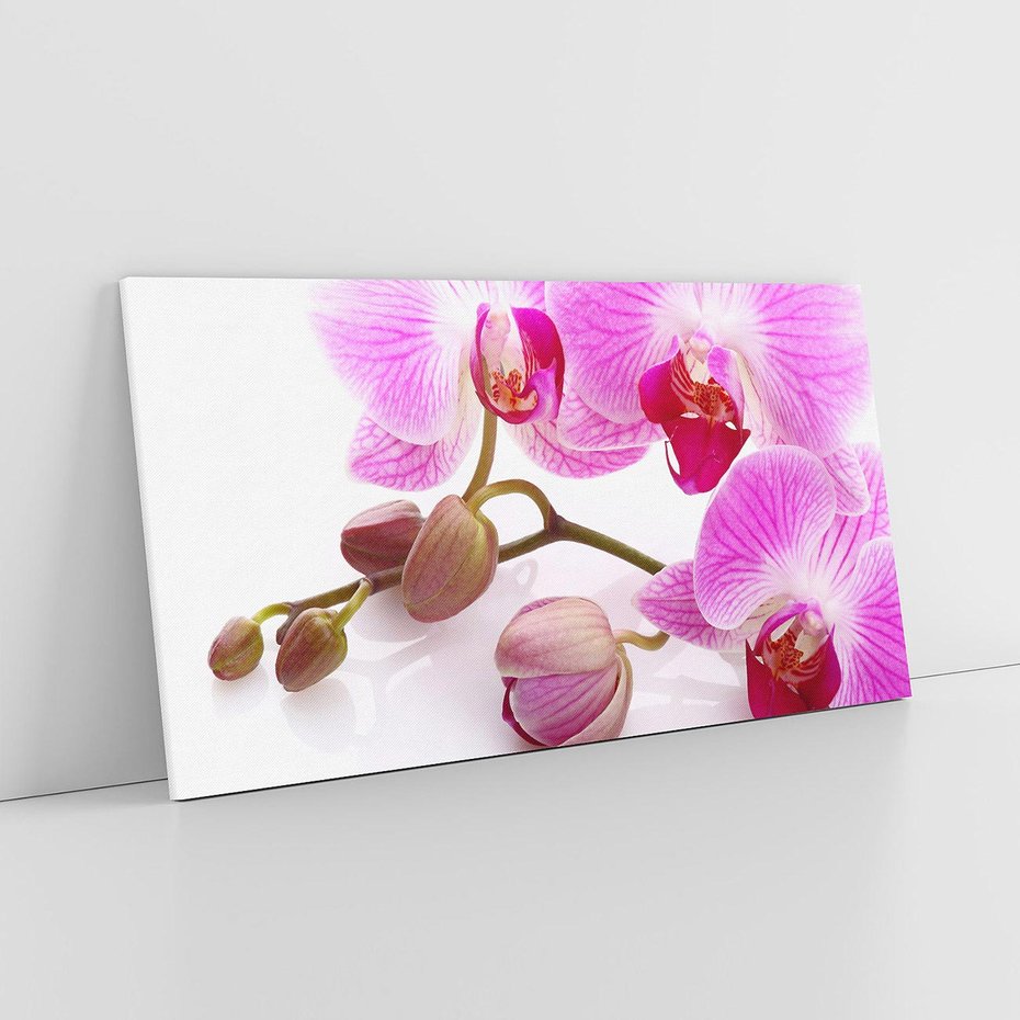 Obraz na płótnie 120x60 - Elegancka orchidea w pełnym rozkwicie - orchidea, kwiat