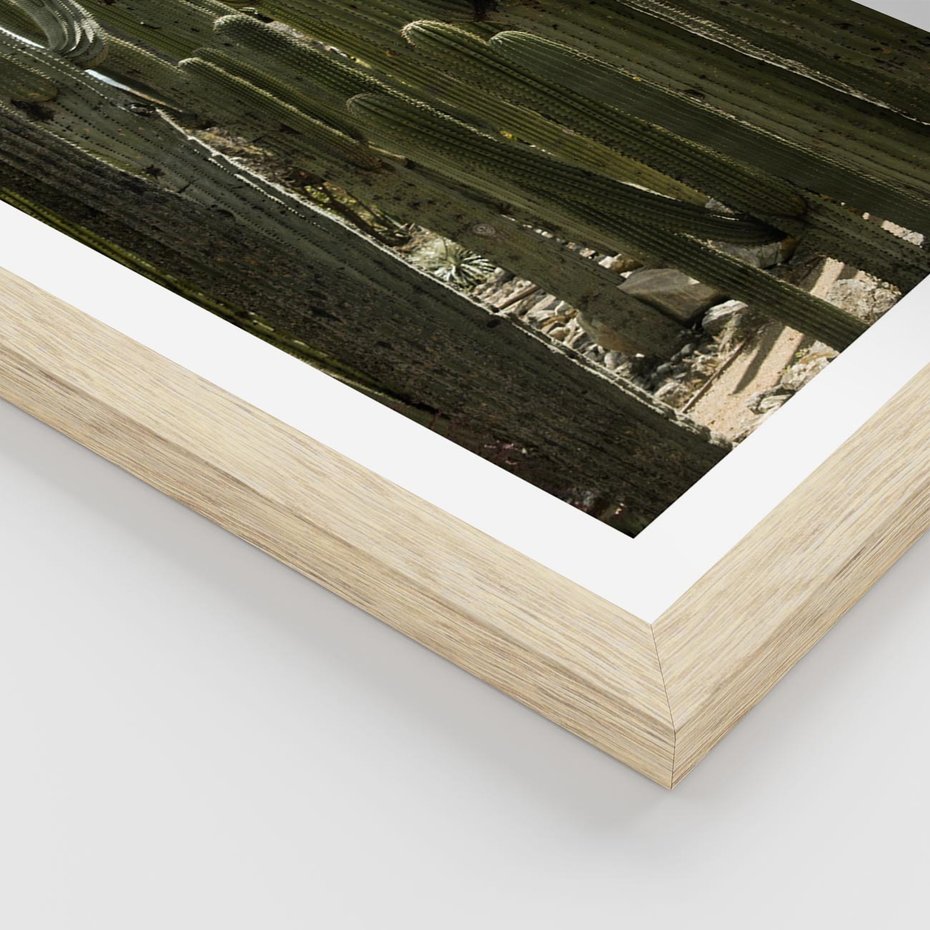 Plakat w ramie 30x40 - Wyjątkowy Klimat Boho - kaktusy, pustynia - rama drewno