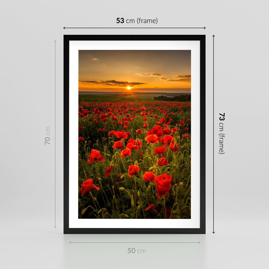 Plakat w ramie 50x70 - Maki przy zachodzie słońca - maki, zachód - rama czarna