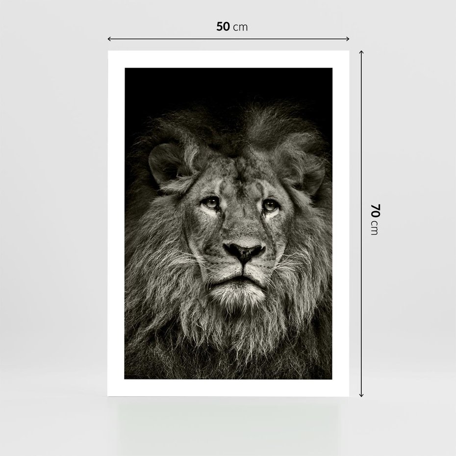 Plakat bez ramy 50x70 - Moc lewego spojrzenia - lew, czarno