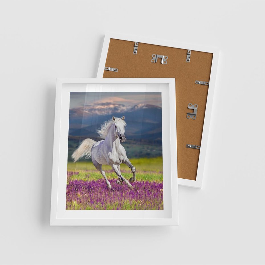 Plakat w ramie 40x50 - Koń Góry: Spotkanie z Wielką Przyrodą - koń, góry - rama biała