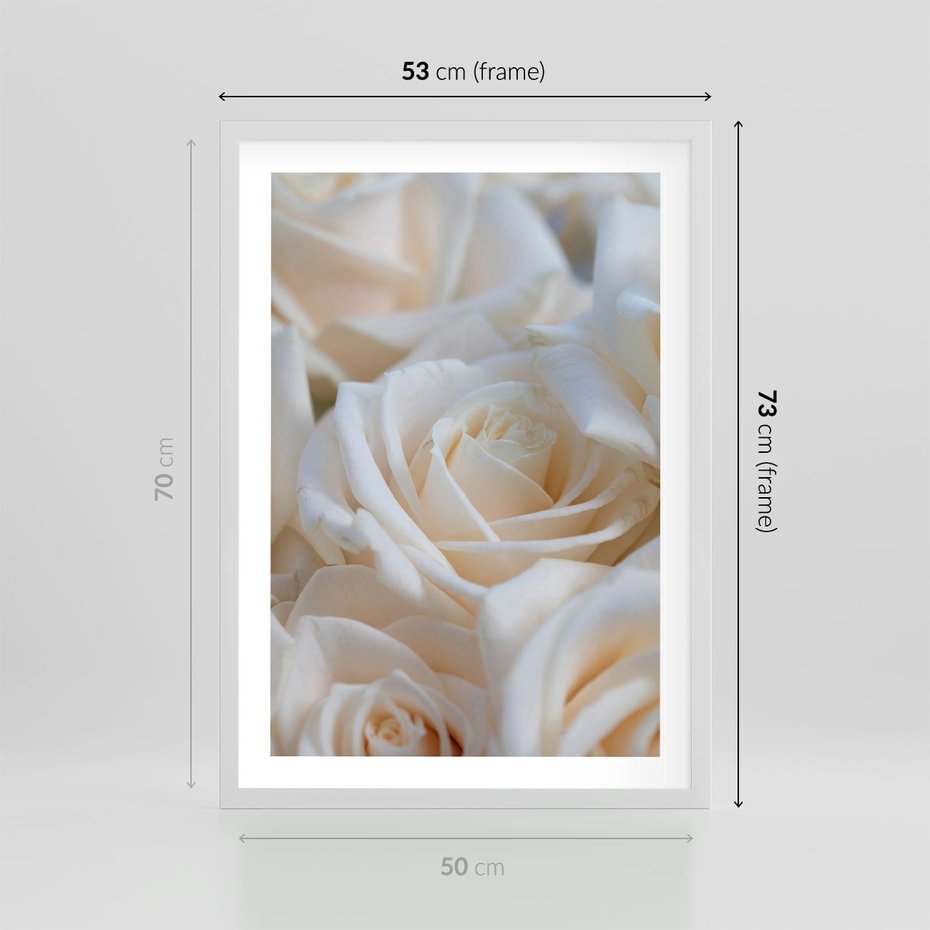 Plakat w ramie 50x70 - Białe róże piękności - białe, róże - rama biała