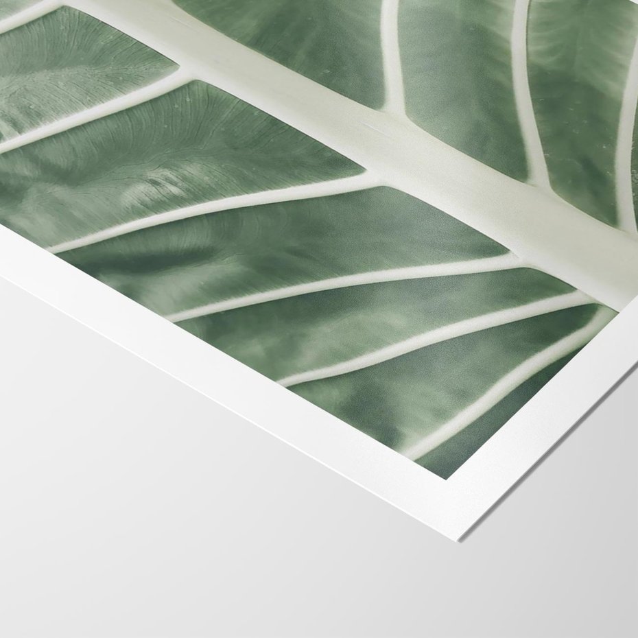 Plakat bez ramy 50x70 - Zielone Wielkości: Zbliżenie Liścia - zbliżenie duz liść, jasna zieleń