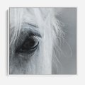 Obraz w ramie 50x50 - Oko Mocy - czarno białe zdjęcie, zbliżenie makro na oko konia - rama biała