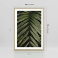 Plakat w ramie 50x70 - W Liściach Ukryte - zdjęcie, fotografia - rama drewno