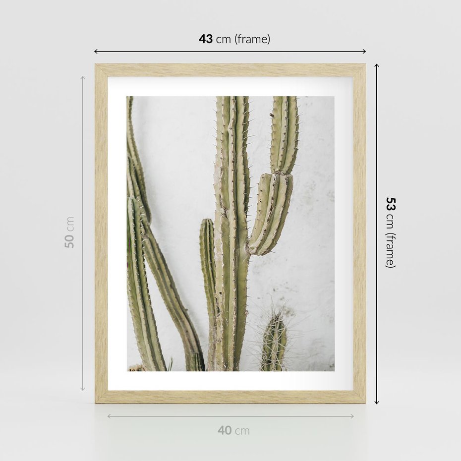 Plakat w ramie 40x50 - Kaktus w Stylu Boho - kaktus, roślina tropikalna - rama drewno