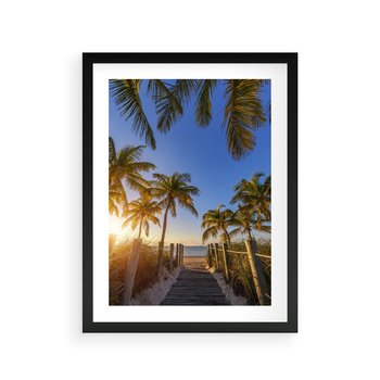Plakat w ramie 30x40 - Rajskie palmy w tropikalnym raju - palmy, tropiki - rama czarna