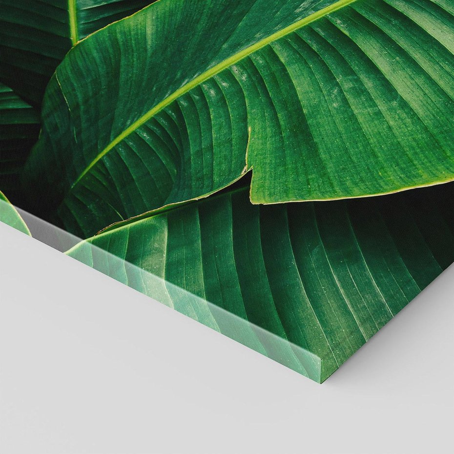 Obraz na płótnie 70x100 - Zaklęta roślinna ekspresja - liście bananowca, gęsto ułożone