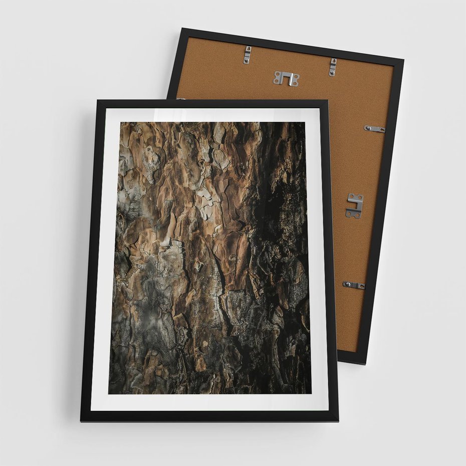Plakat w ramie 50x70 - Tekstura Drewna: Zbliżenie - zbliżenie na pień drzewa, tekstura - rama czarna