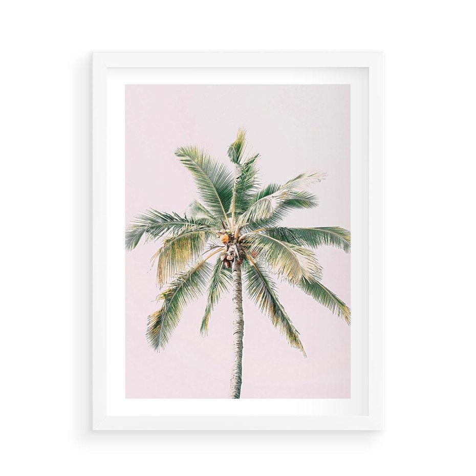 Plakat w ramie 50x70 - Błogość Tropików - palma, tropiki - rama biała