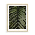 Plakat w ramie 50x70 - W Liściach Ukryte - zdjęcie, fotografia - rama drewno