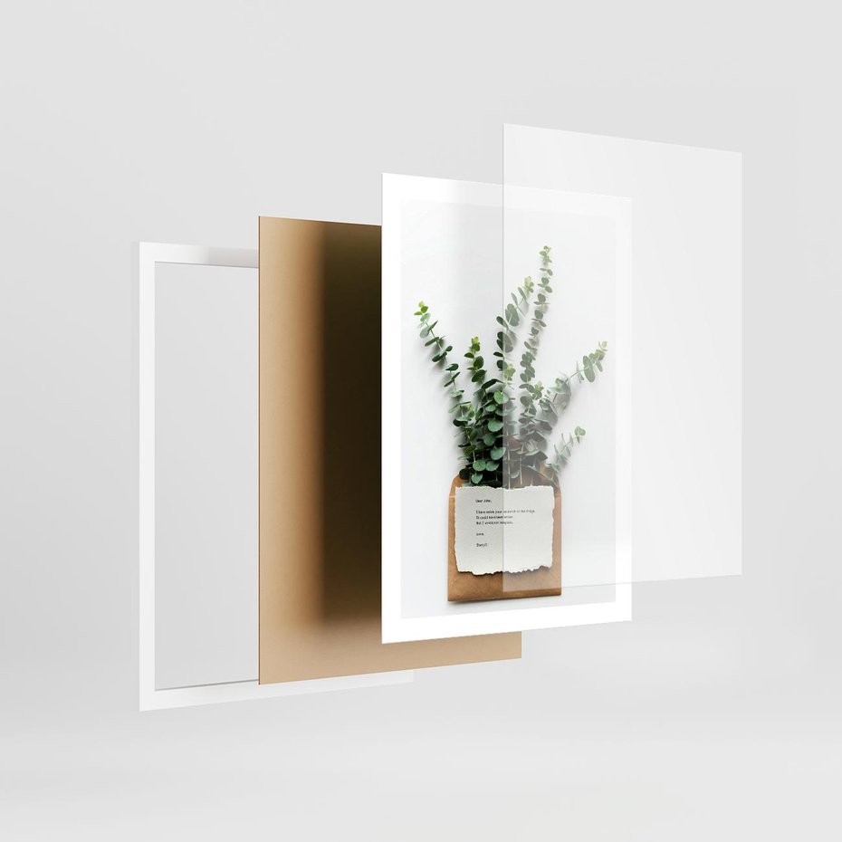 Plakat w ramie 50x70 - Eukaliptusowa harmonia - eukaliptus, liście - rama biała