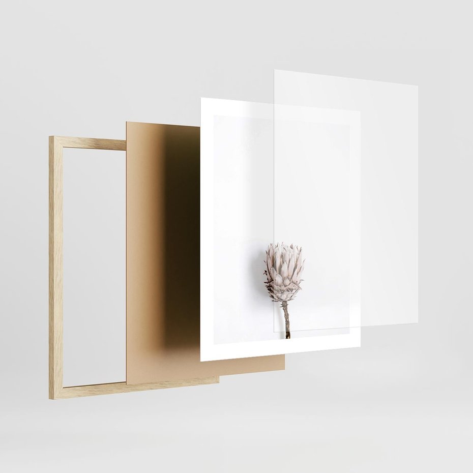 Plakat w ramie 40x50 - Suszona Roślina na Białym Tle - minimalizm, suszona roślina - rama drewno