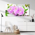 Obraz na płótnie 120x60 - Orchidea w SPA - spa, orchidea