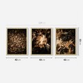 Zestaw obrazy w ramie 40x50 galeria - Suche, jesienne, liście, las - rama drewno