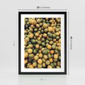 Plakat w ramie 30x40 - Świeżość Cytrusów - cytryny, limonki - rama czarna
