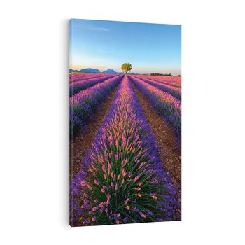 Obraz na płótnie 70x100 - Fioletowa Magia - pole, lawendy