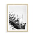 Plakat w ramie 50x70 - Sztuka Natury: Monochromatyczna Palma - palma, czarno białe zdjęcie - rama drewno