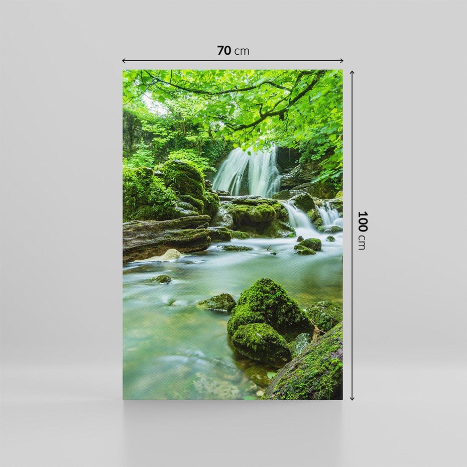 Obraz na płótnie 70x100 - Las przy rzece: potężny wodospad - las, rzeka