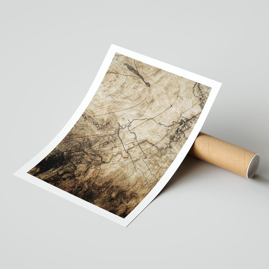 Plakat bez ramy 30x40 - Słoje Natury - słoje drzewa, pieńdrzewa