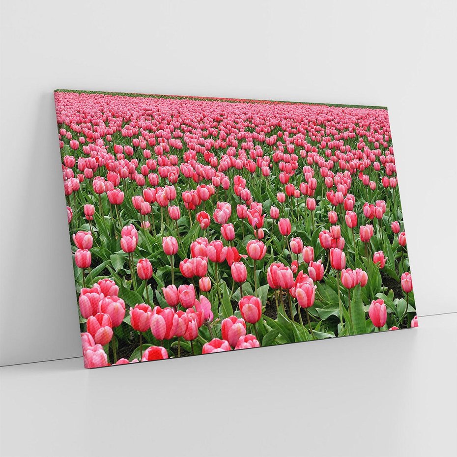 Obraz na płótnie 100x70 - Tulipanowe Elegancja - tulipany, kwiat