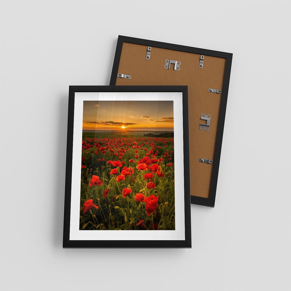 Plakat w ramie 30x40 - Maki przy zachodzie słońca - maki, zachód - rama czarna