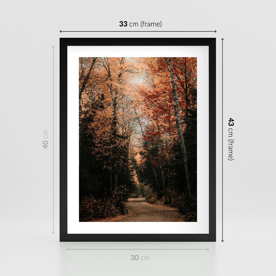 Plakat w ramie 30x40 - Drzewa w Czerwonych Liściach - las, jesienny las - rama czarna