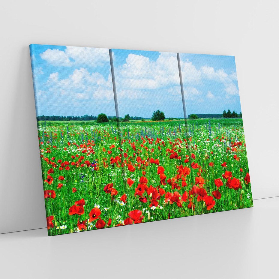 Obraz na płótnie 120x80 - Kolorowa łąka pełna maku - łąka, maki
