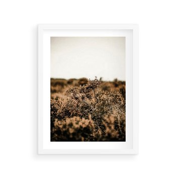 Plakat w ramie 50x70 - Krajobraz W Naturze: Beże i Brązy - suche krzewy, natura - rama biała