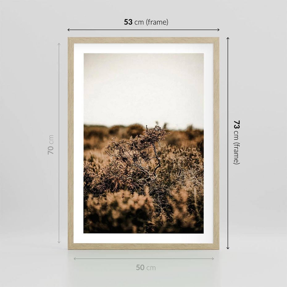 Plakat w ramie 50x70 - Krajobraz W Naturze: Beże i Brązy - suche krzewy, natura - rama drewno