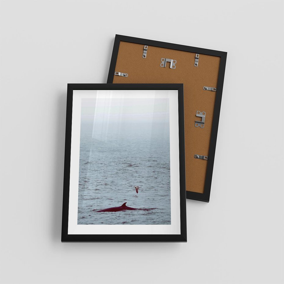 Plakat w ramie 30x40 - Spotkanie z Orką - morze, ocean - rama czarna