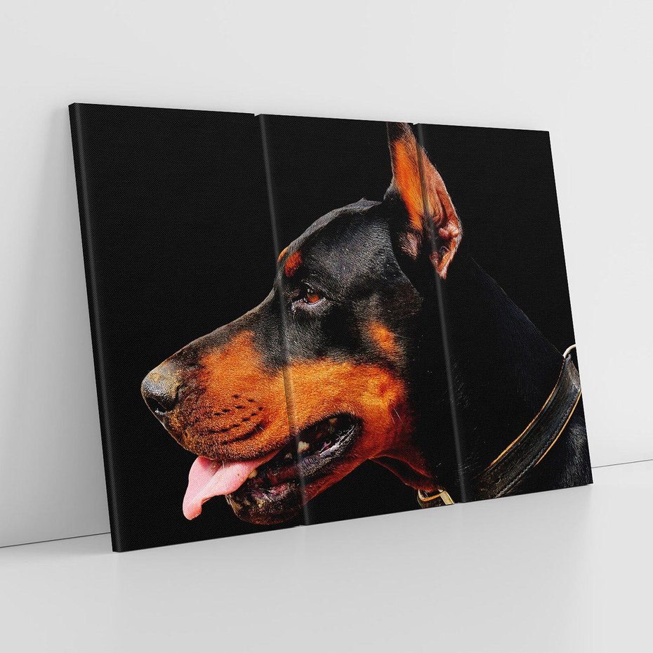 Obraz na płótnie 120x80 - Sztuka psiego uśmiechu - pies, piesek