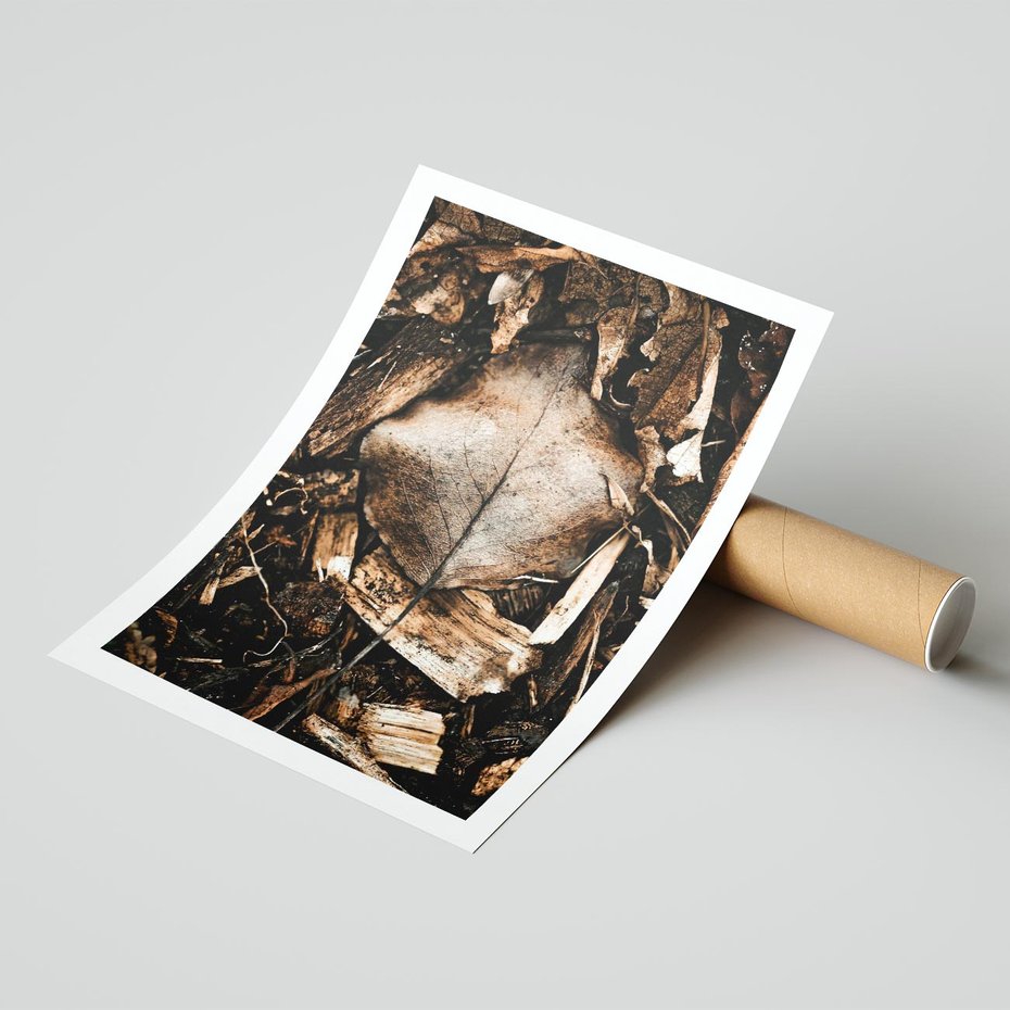 Plakat bez ramy 21x30 - Samotny Liść - liść, brąz