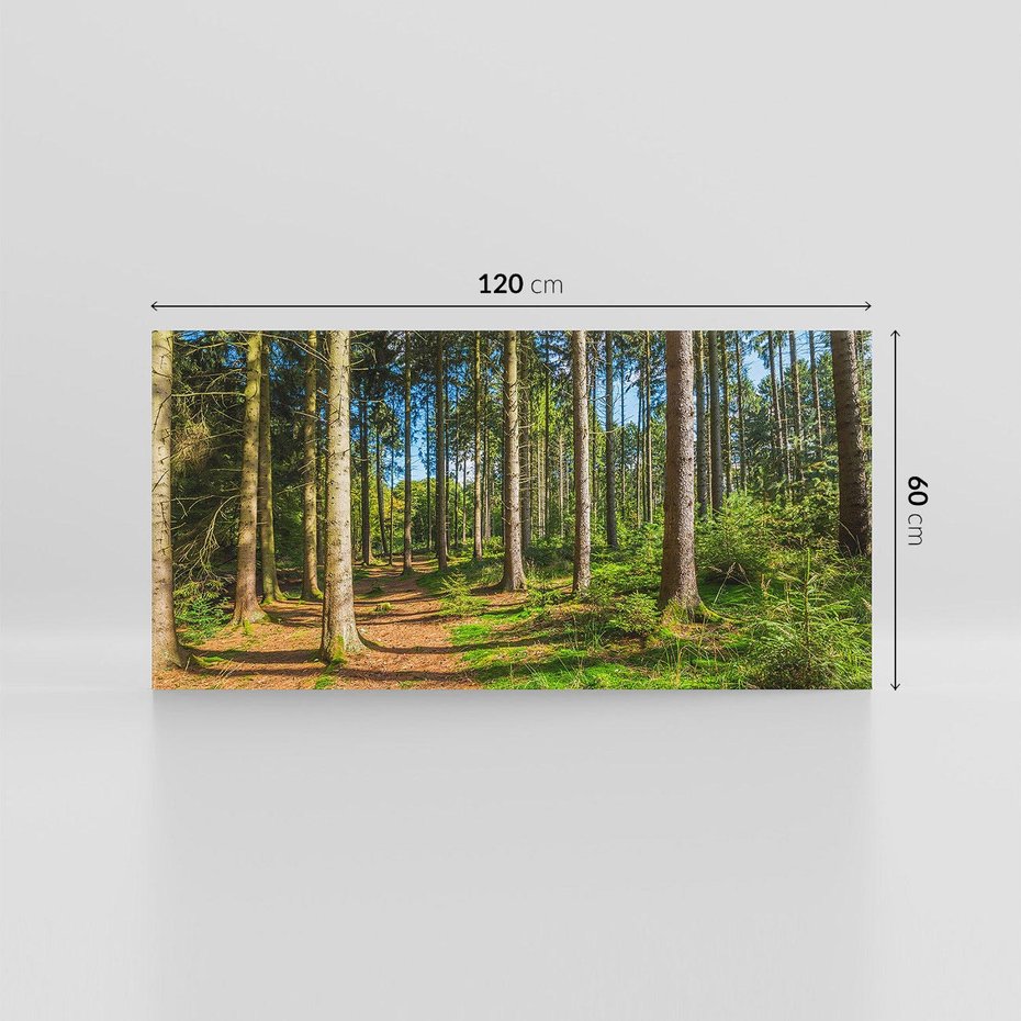 Obraz na płótnie 120x60 - Mistyfikacje lasu - las, drzewa